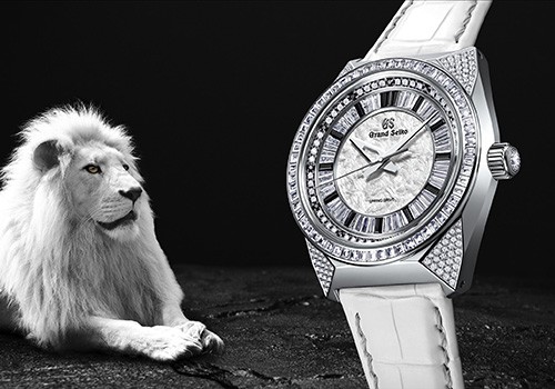 White best sale luxury watch