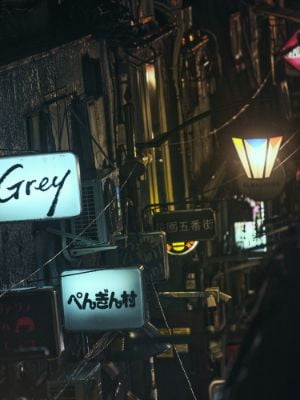 the Golden-Gai Area